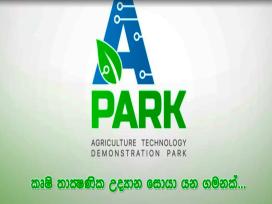 A Park 28-01-2024