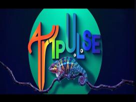 Art Pulse 03-10-2026