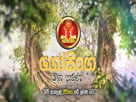 Gosinga Wana Arana Episode 1