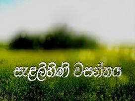 Salalihini Wasanthaya 02-04-2026