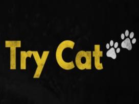 Try Cat Episode 6